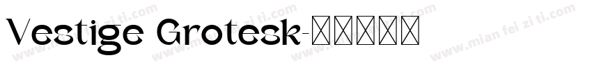 Vestige Grotesk字体转换